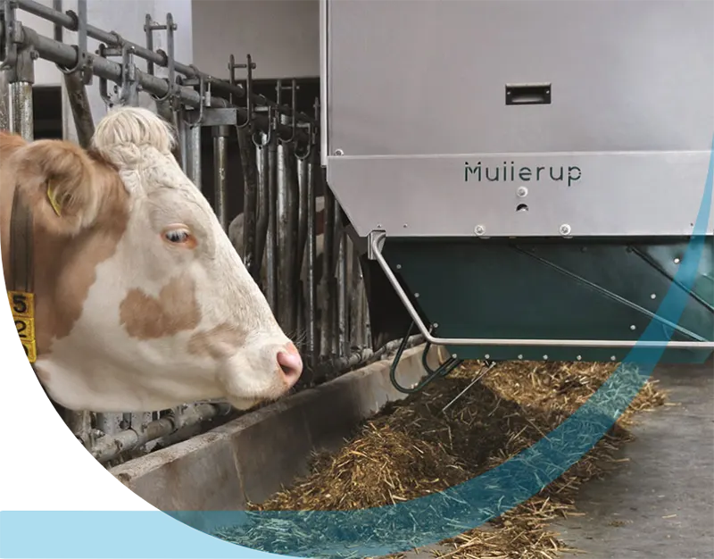 Automated Feeding Systems | McKnight Dairy Services