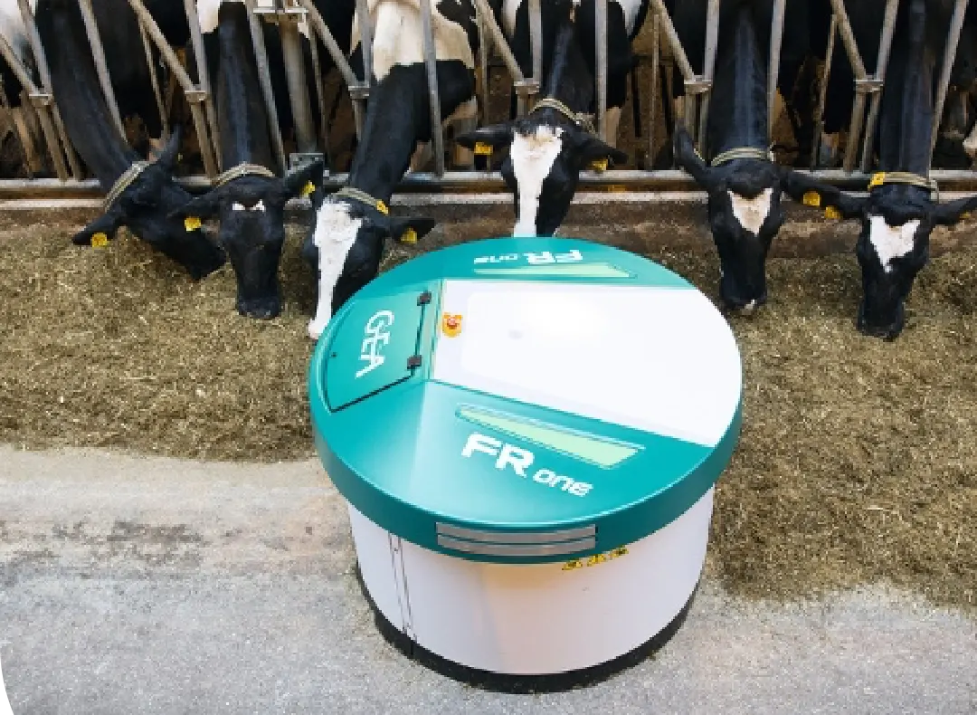 Robotic Feeding System